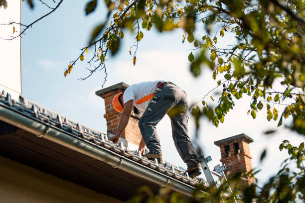 Residential Roof Replacement in Oak Park, MI