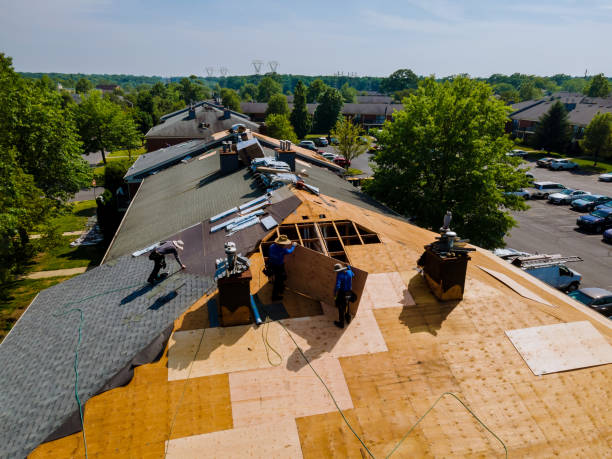 Quick and Trustworthy Emergency Roof Repair Services in Oak Park, MI