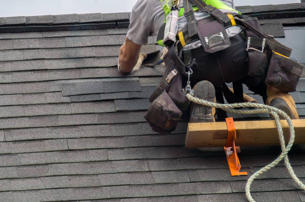 Best Storm Damage Roof Repair  in Oak Park, MI