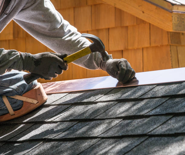Best Roof Repair Services  in Oak Park, MI